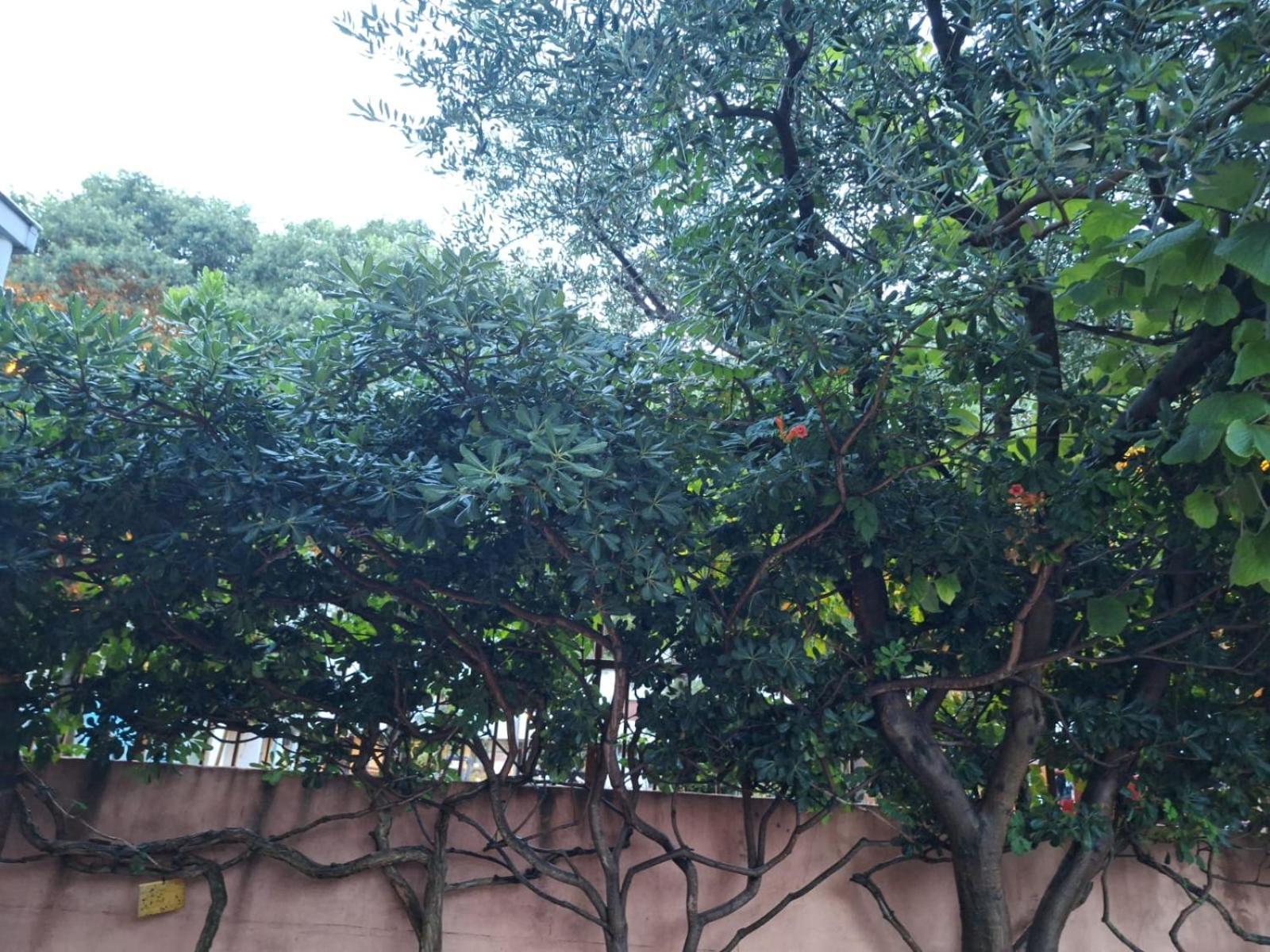 Hana Apartments زادار المظهر الخارجي الصورة